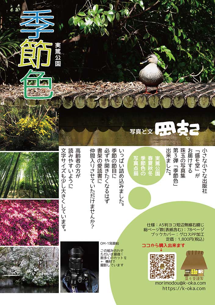 季節色フライヤー